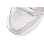Nike Dunk low Disrupt SB dunk sneakers