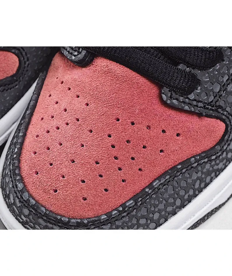 Brooklyn Projects x Nike Dunk SB Premium QS walk of fameLow  板鞋