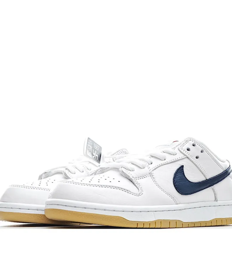 Nike Dunk SB Low Pro  