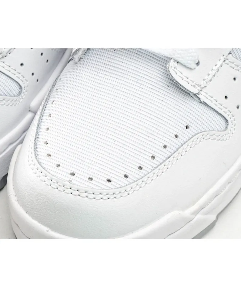 Nike Dunk Low Disrupt Sneakers