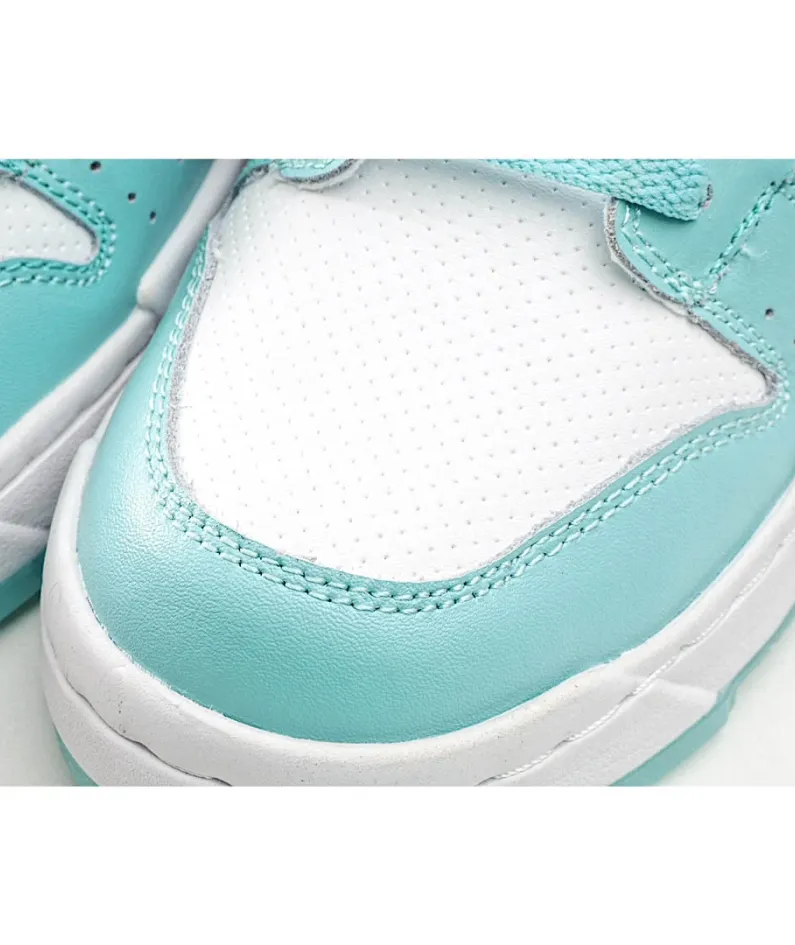 Nike Dunk Low Disrupt
