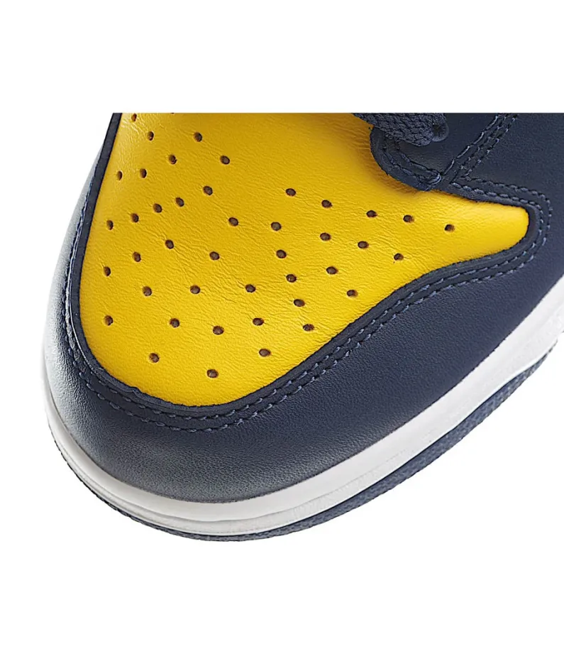 Nike Dunk HiSP Michigan