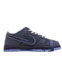 Nike Concepts x NK SB Dunk Low