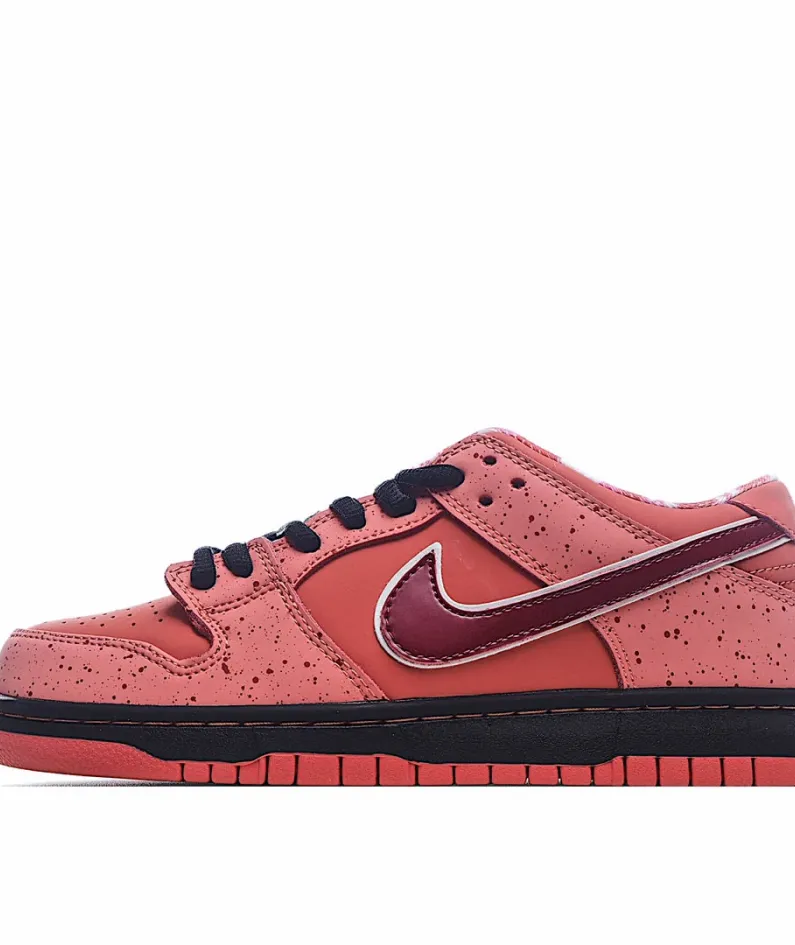 Concepts x Nike SB Dunk Low    