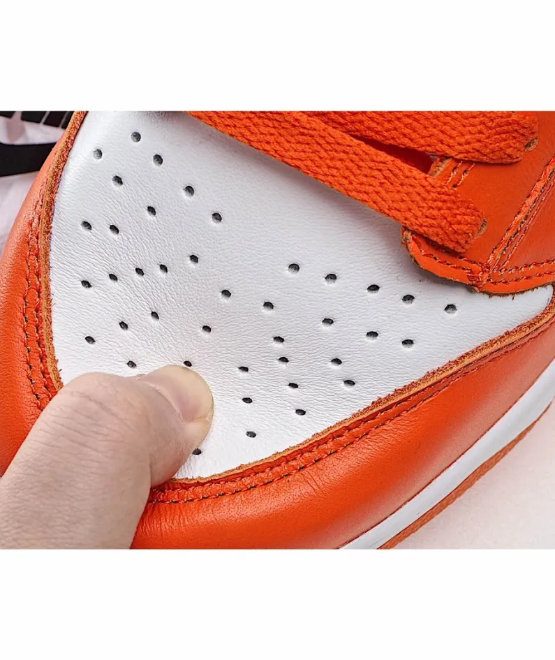 Nike Dunk SB Low Syracuse Low Top Sneakers