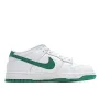 Nike Dunk SB Low Pro Low Top Sneakers