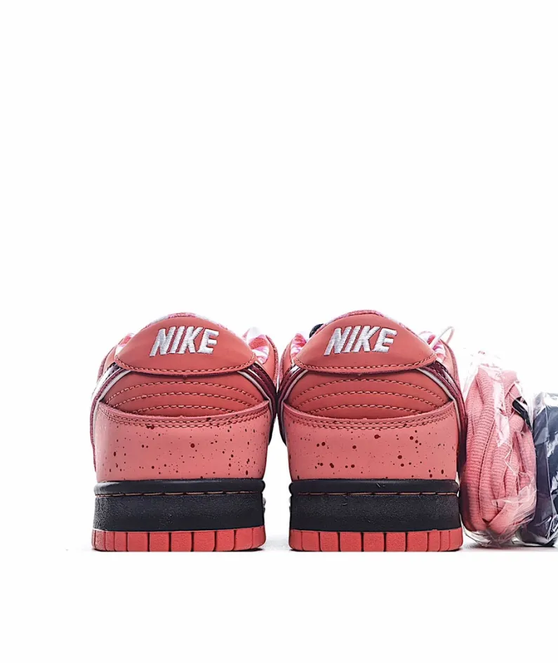 Concepts x Nike SB Dunk Low    