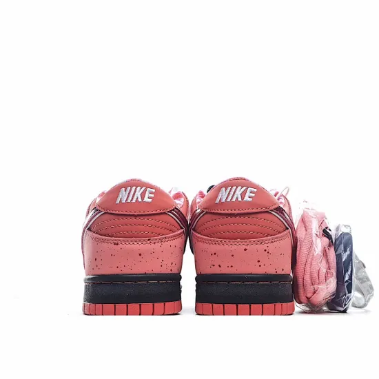 Concepts x Nike SB Dunk Low    