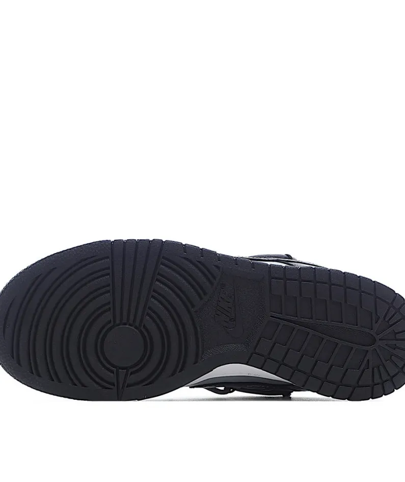 Nike SB Dunk Low Top Sneakers