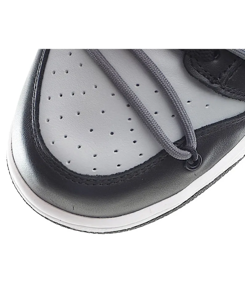 Nike SB Dunk Low Top Sneakers