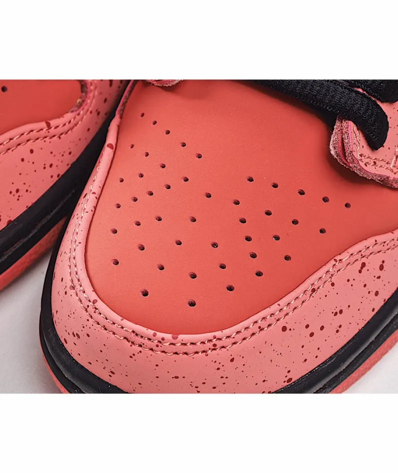 Concepts x Nike SB Dunk Low    