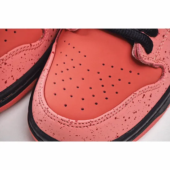 Concepts x Nike SB Dunk Low    