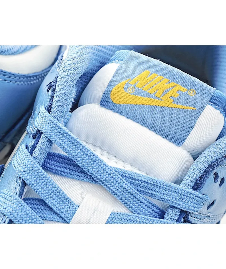 Nike SB Dunk LowCoast Low Top Sneakers