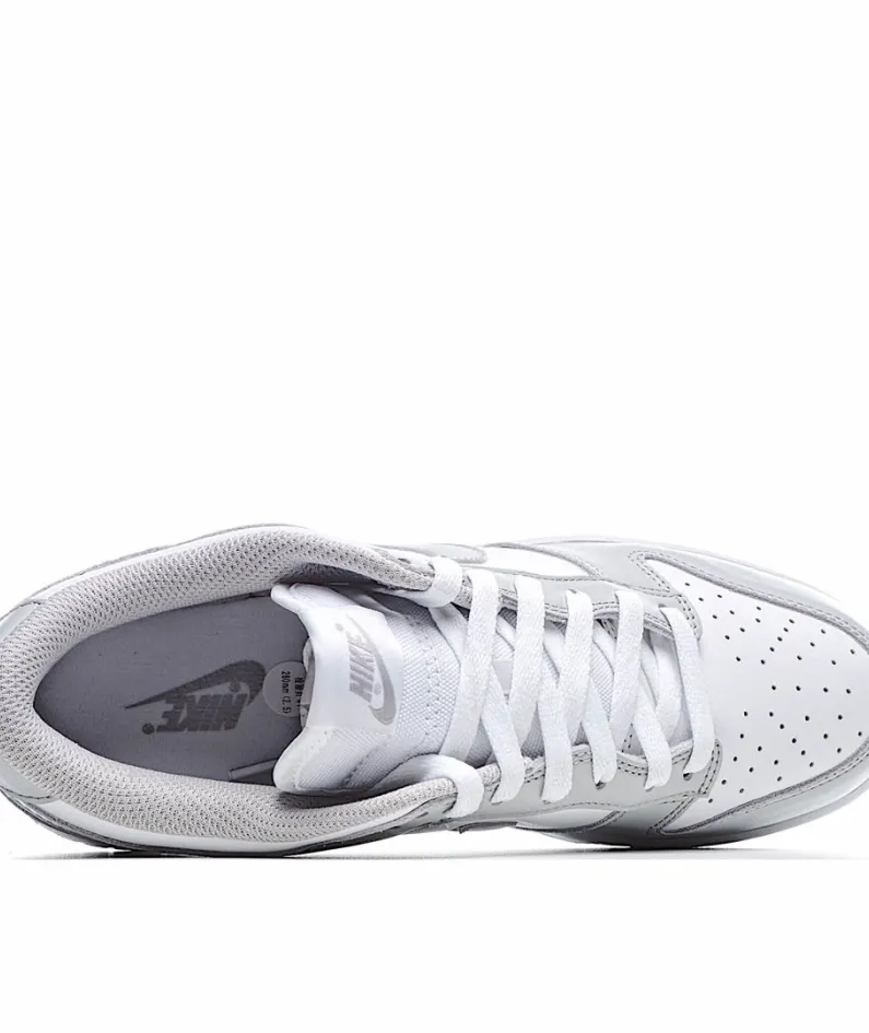 Nike SB Dunk Low Silver Grey