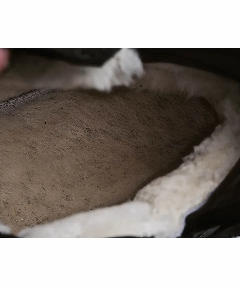 UGG high-top classic martin boots