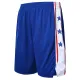 Blue Men's Professional Basketball Shorts Joggers Loose Quick-drying Casual Beach Shorts Solid Men Shorts Pantalones cortos de balonc