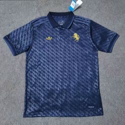 Juventus F.C. 2024/25 away Jersey
