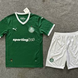 Adult Size Sociedade Esportiva Palmeiras 2025/26 home football shirt shorts set