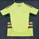 Camiseta 2ª equipación del Gales Eurocopa 2024