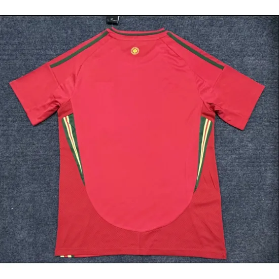 Camiseta 1ª equipación del Gales Eurocopa 2024