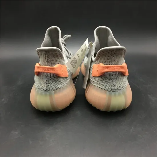 adidas Yeezy Boost 350 V2 Trfrm EG7492