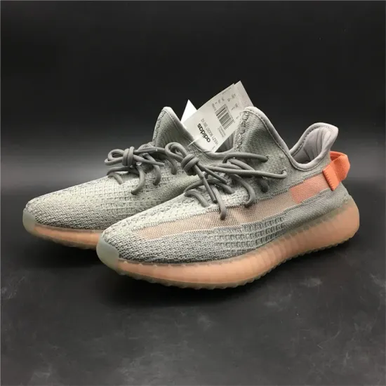 adidas Yeezy Boost 350 V2 Trfrm EG7492
